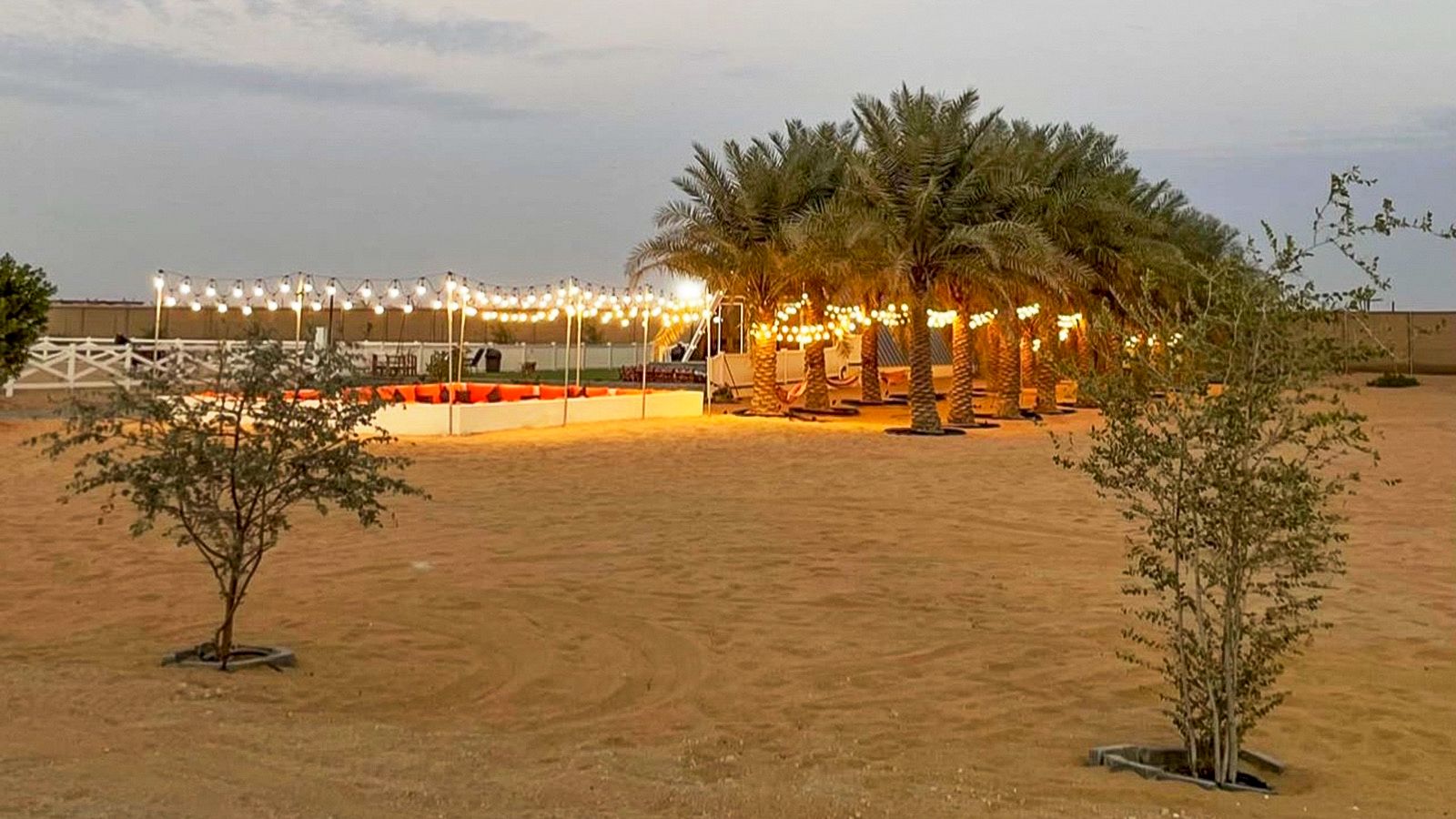 Cultural Exploration of Abu Dhabi with Emirati Guide