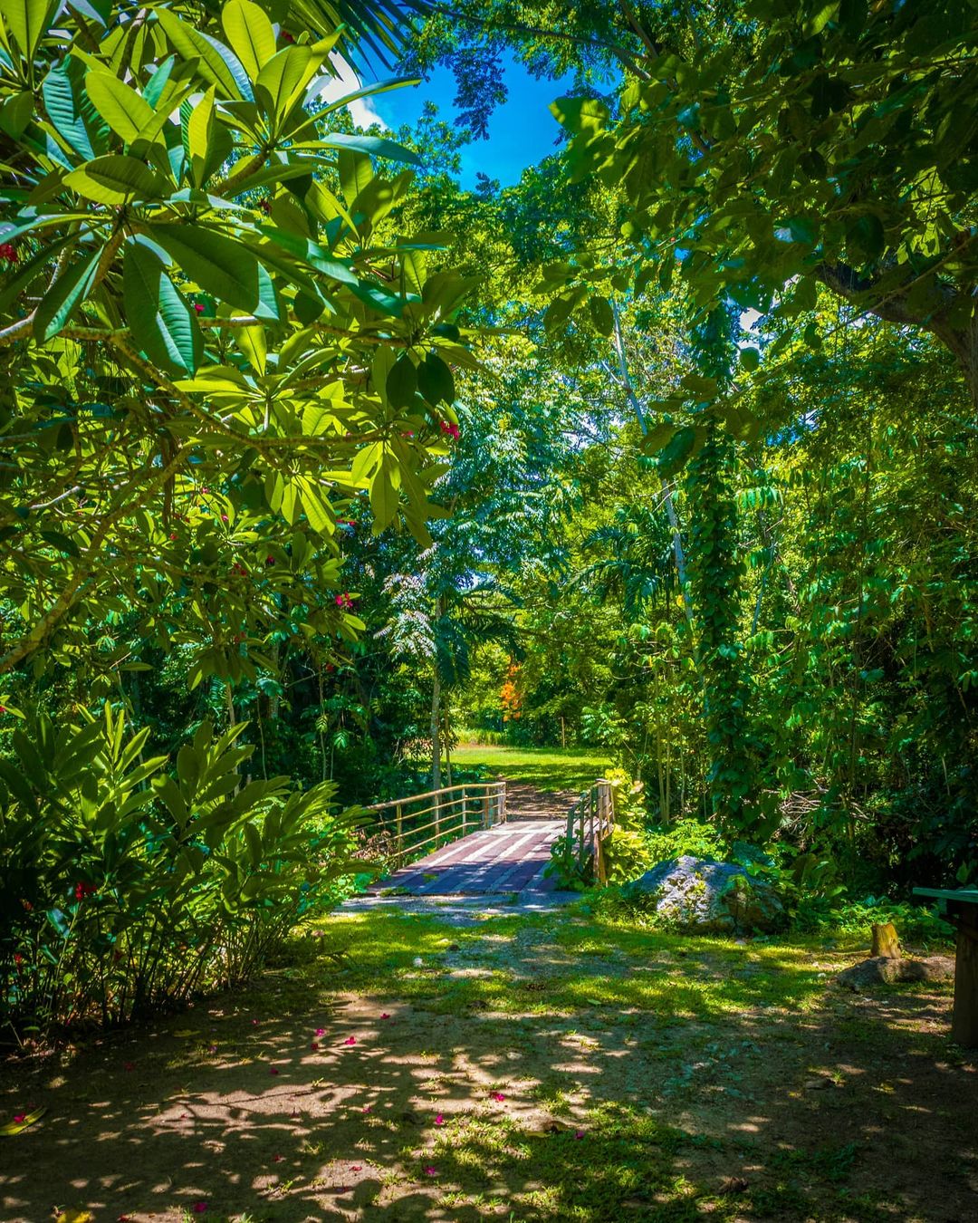 recommendation image