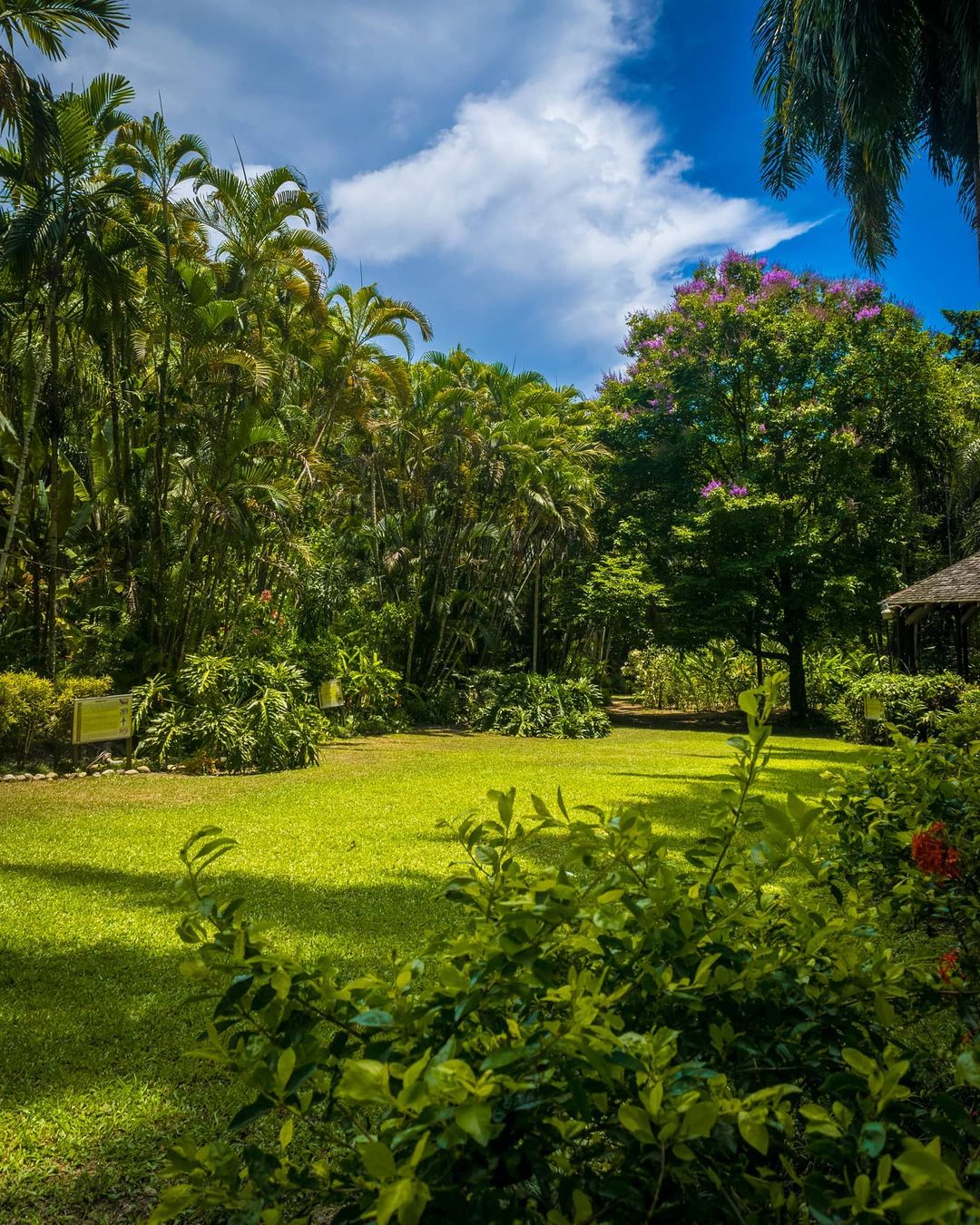 recommendation image