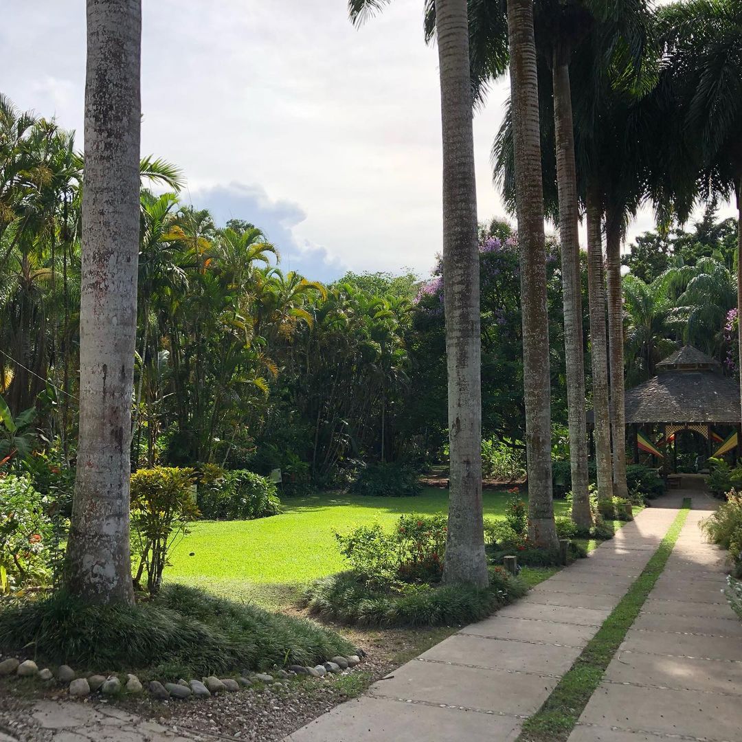 recommendation image