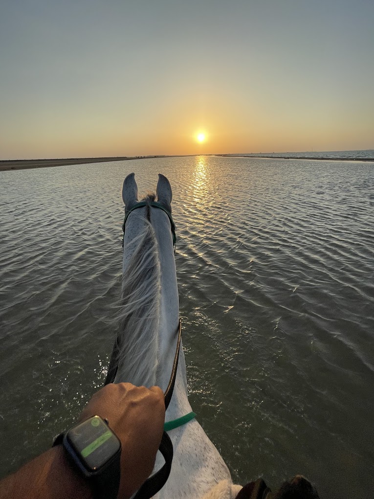 recommendation image