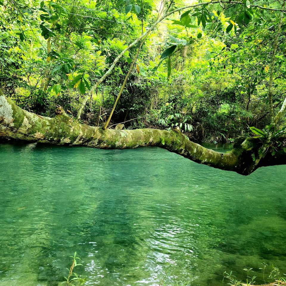 recommendation image