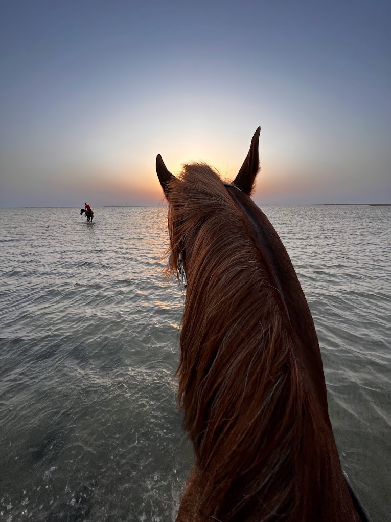 recommendation image