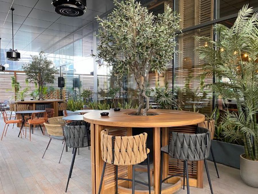 MasterChef, the TV Experience