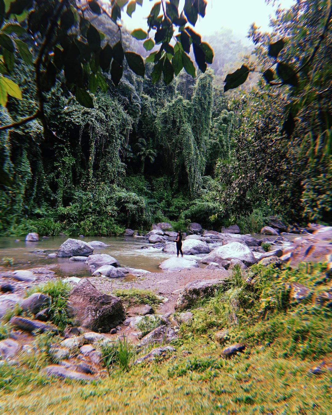 recommendation image