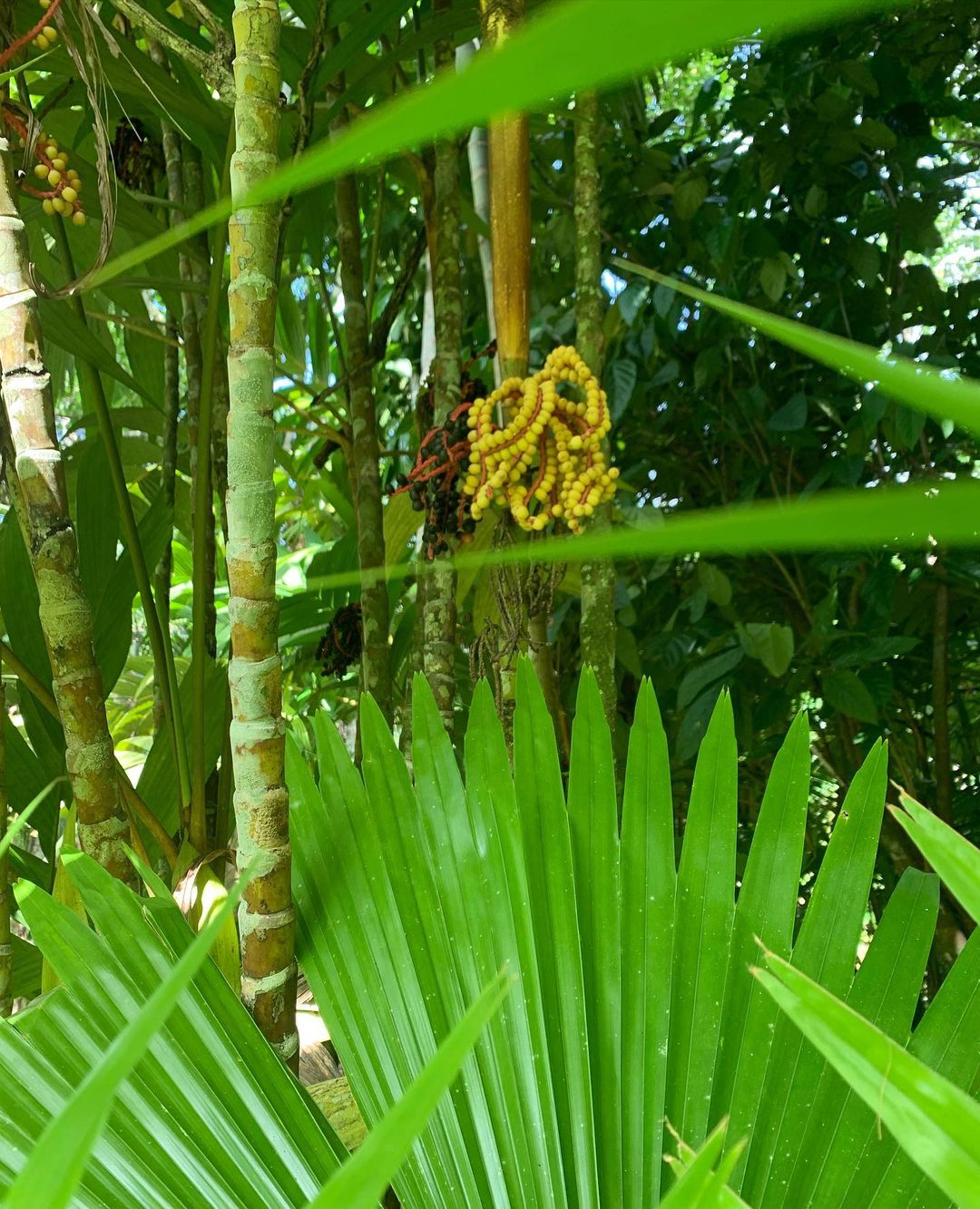 recommendation image