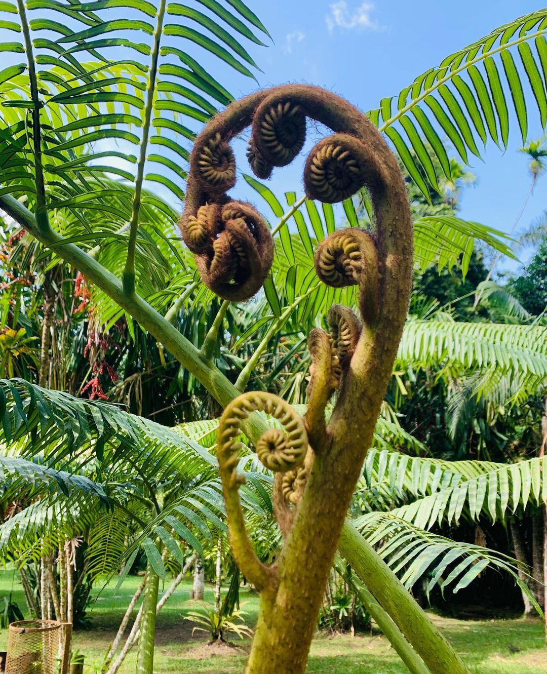 recommendation image