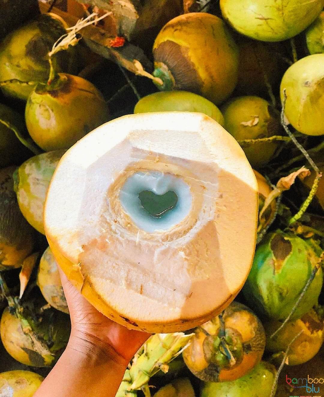 recommendation image