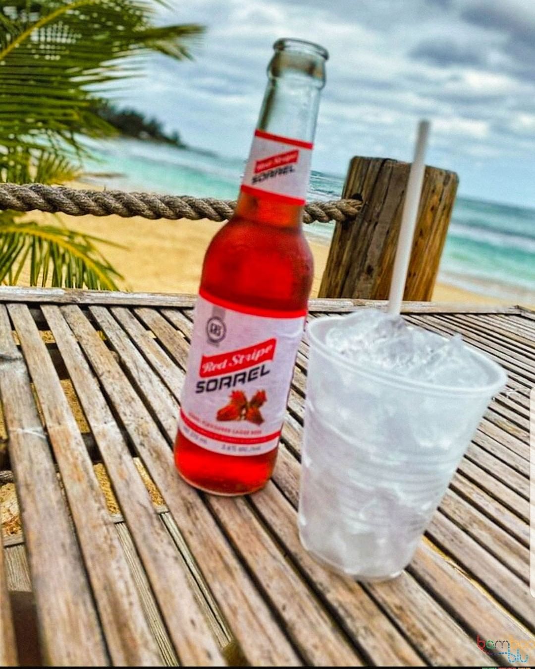 recommendation image