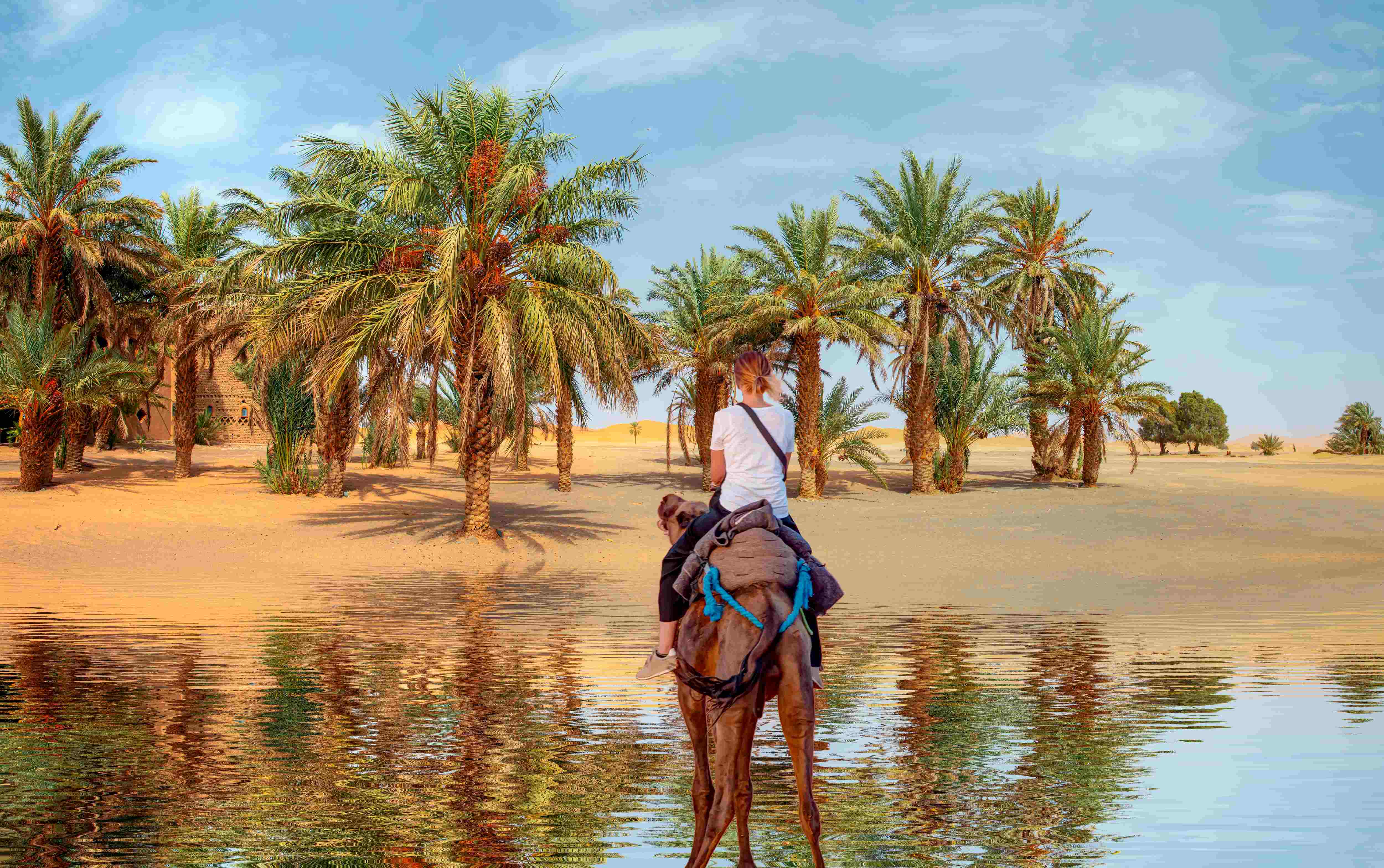 Camel Trekking