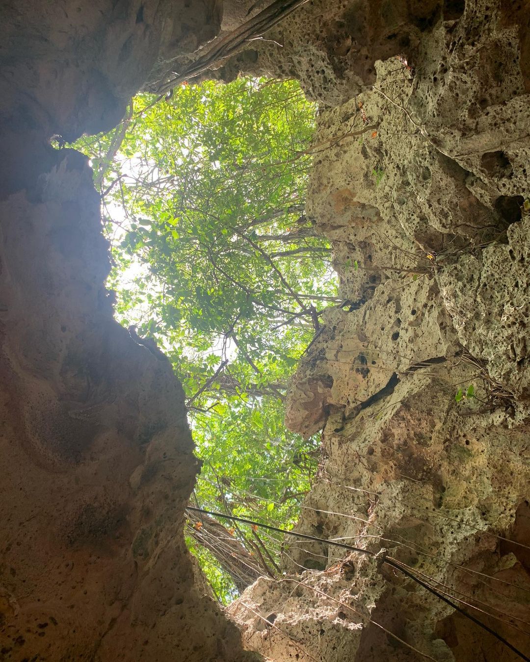 recommendation image