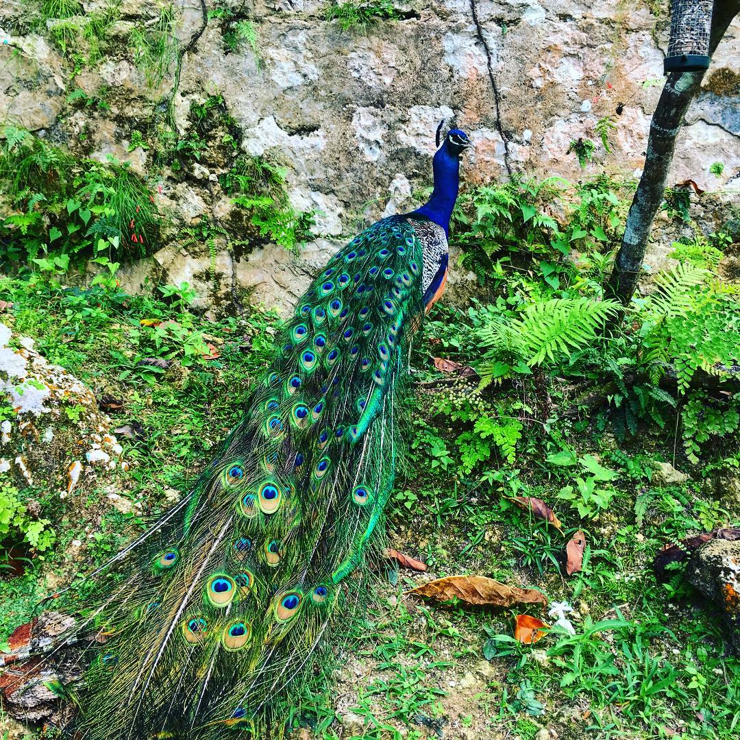 recommendation image