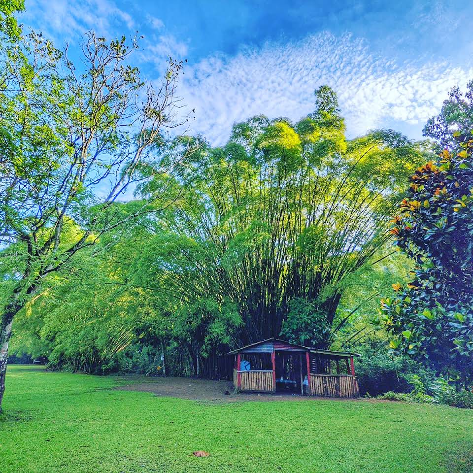 recommendation image