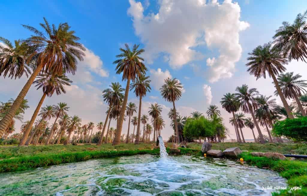 recommendation image