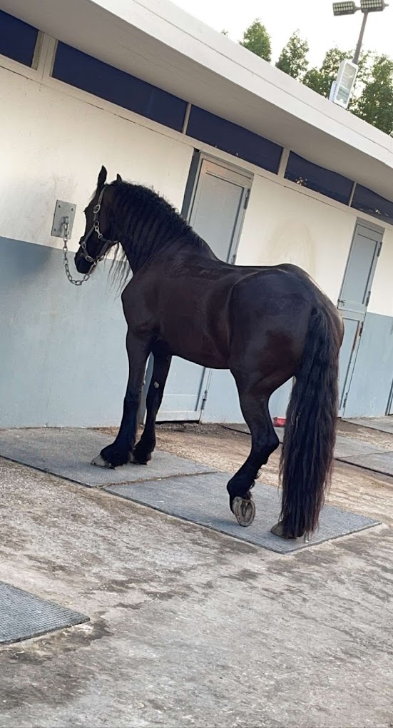 recommendation image