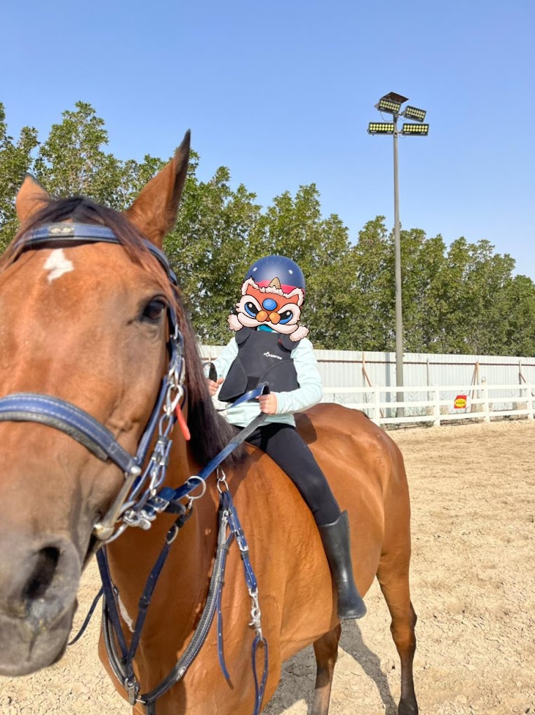 recommendation image