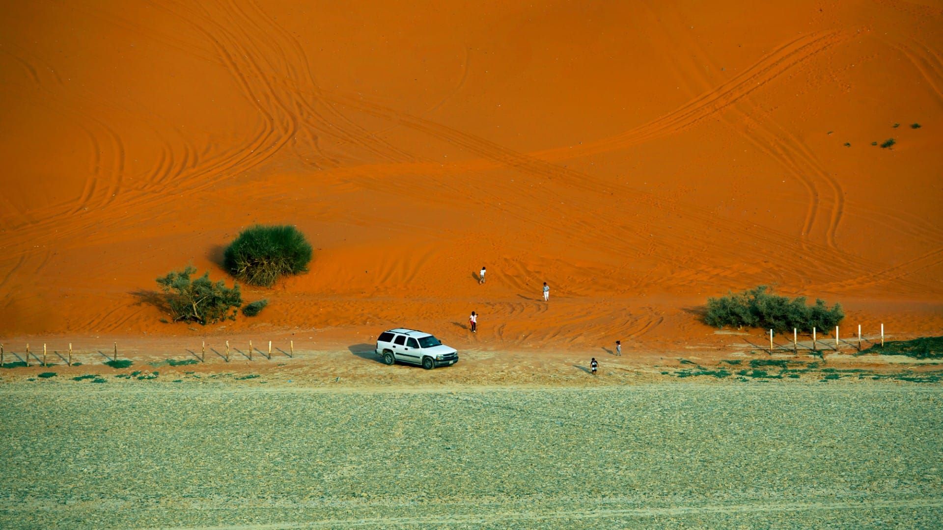 Al Kharrarah National Park