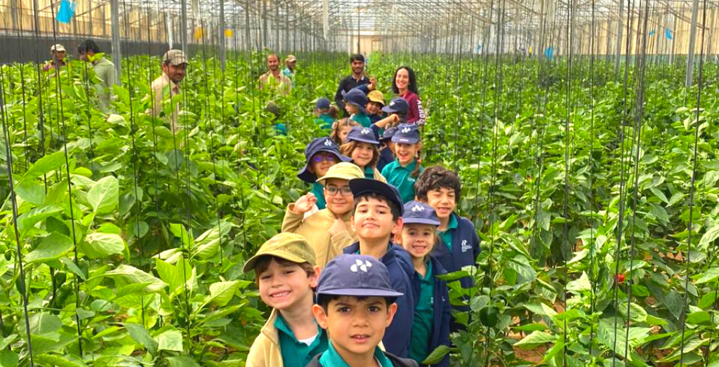 recommendation image