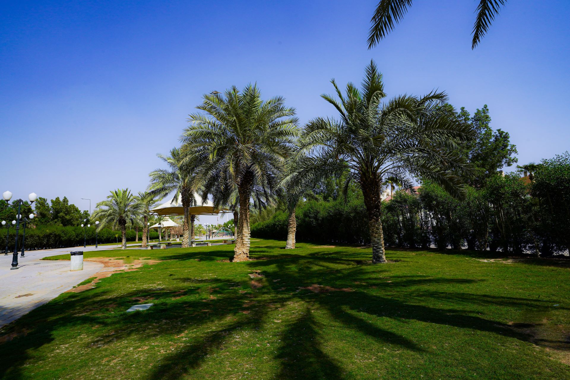 recommendation image