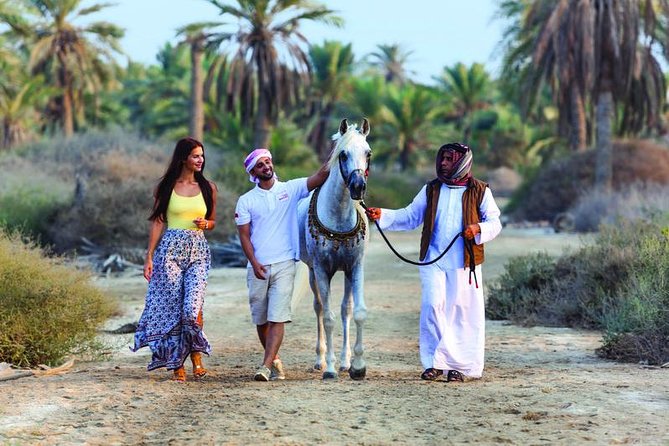 Arabian Horse Riding