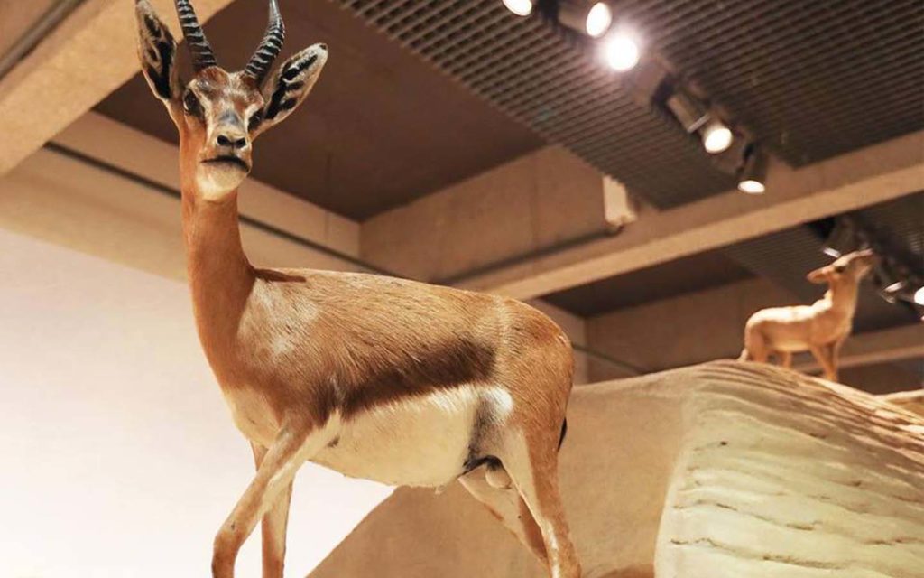 recommendation image