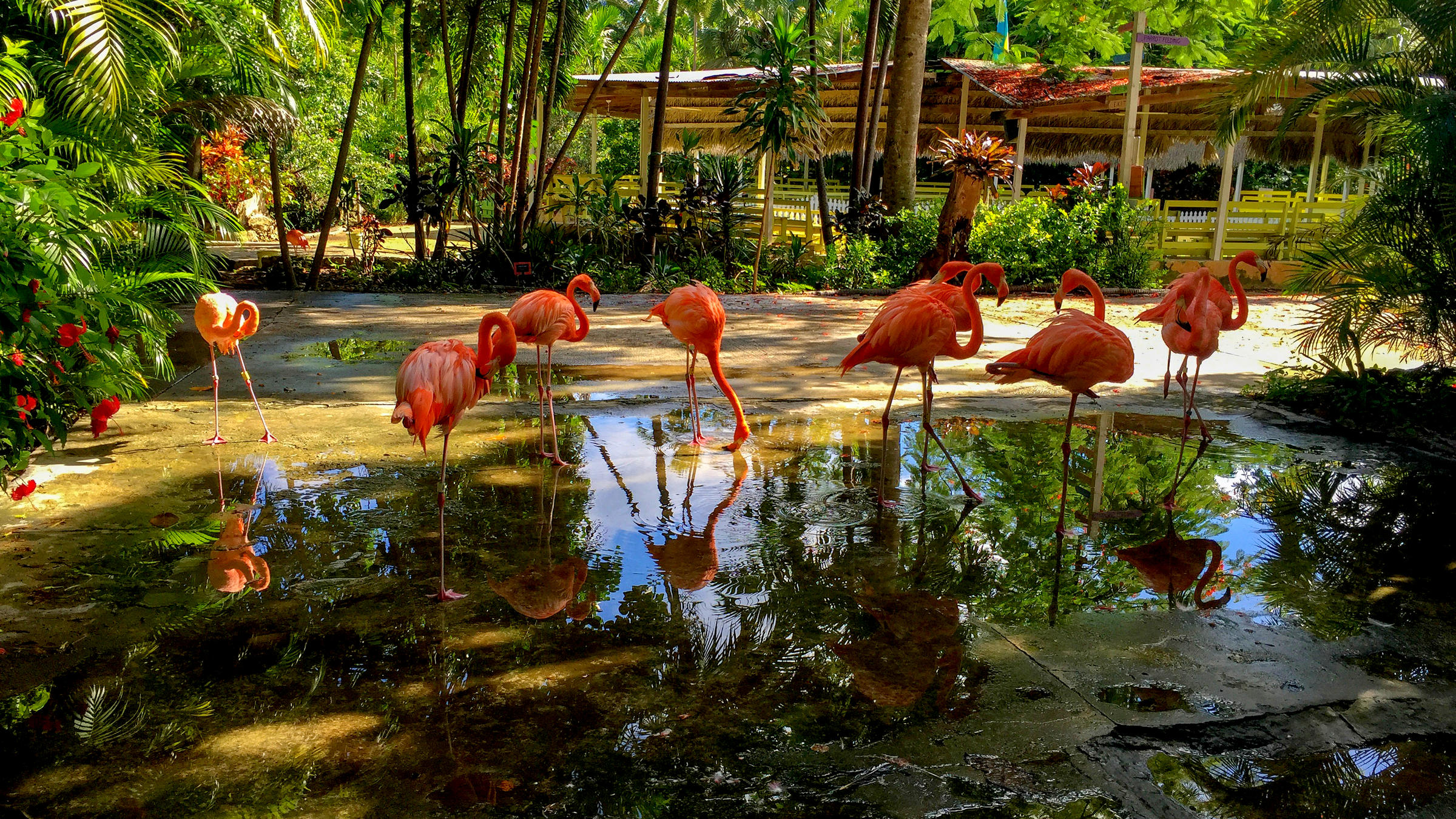 recommendation image