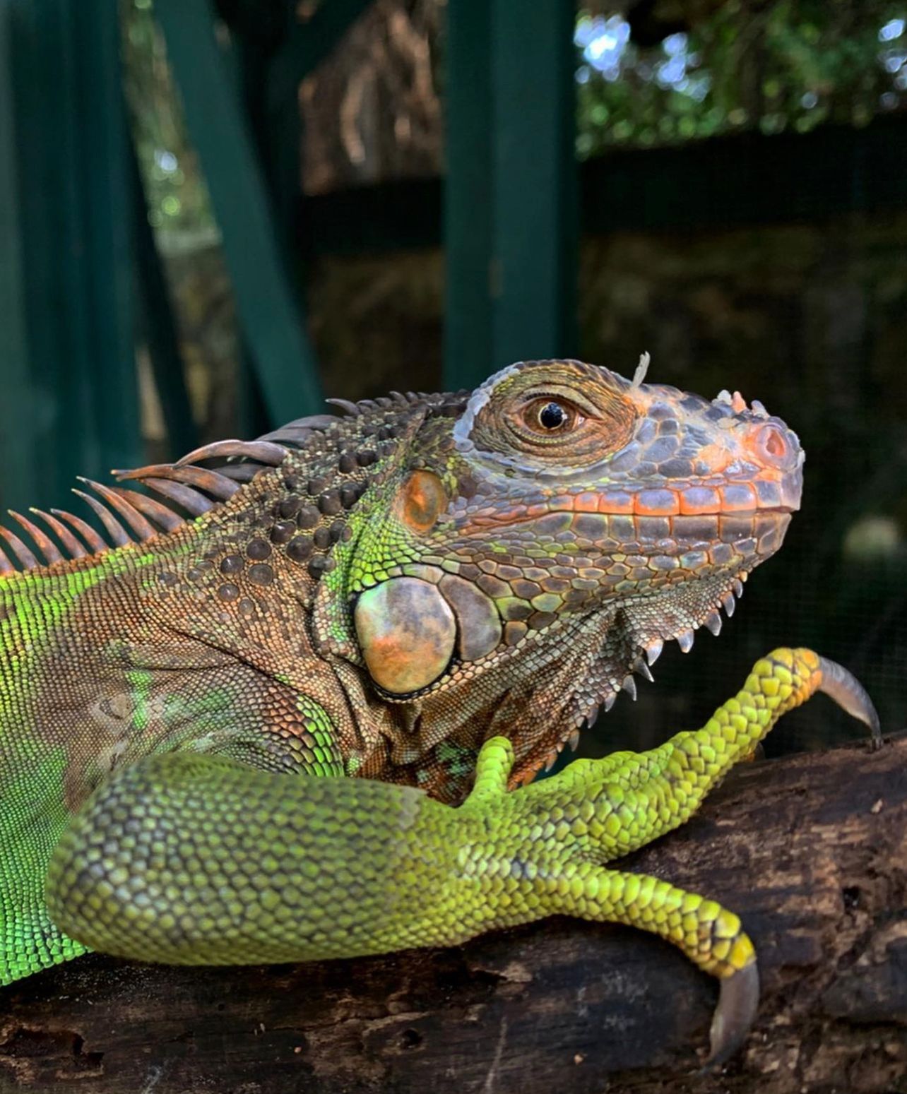 recommendation image