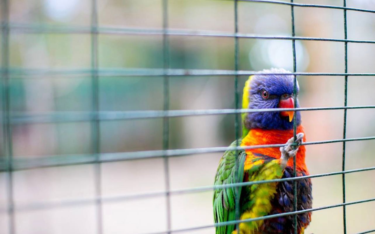 recommendation image