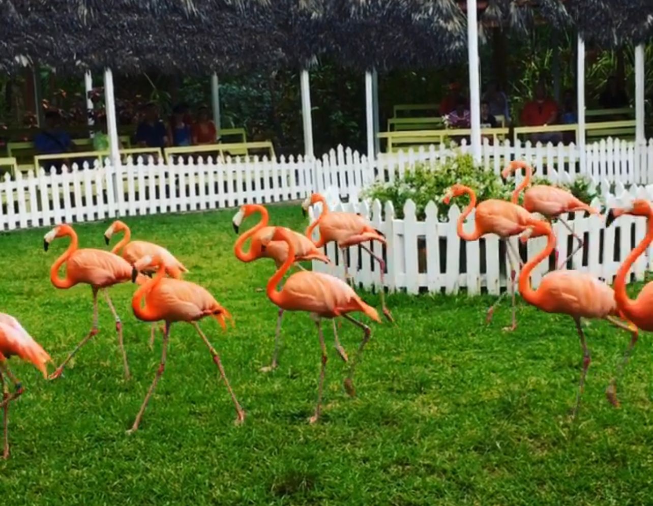 recommendation image