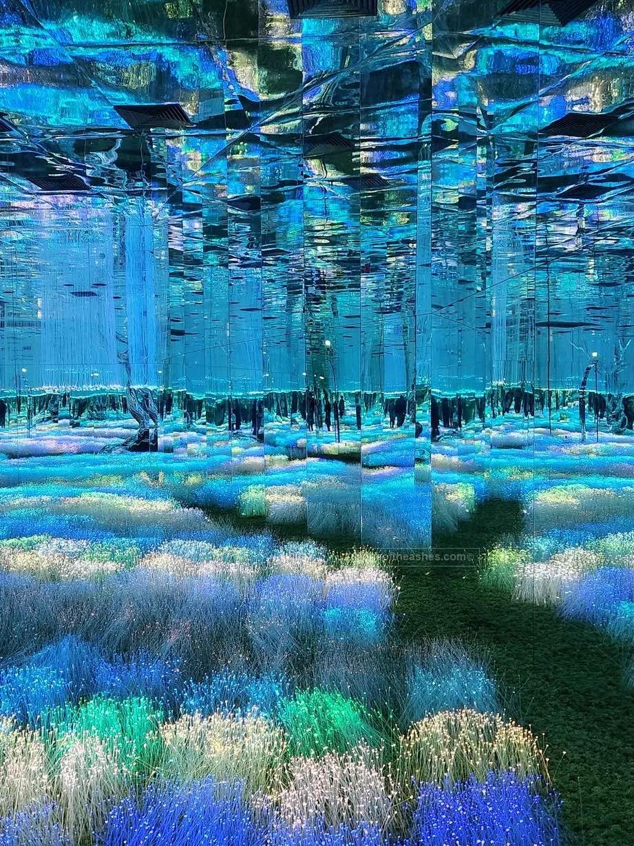 recommendation image