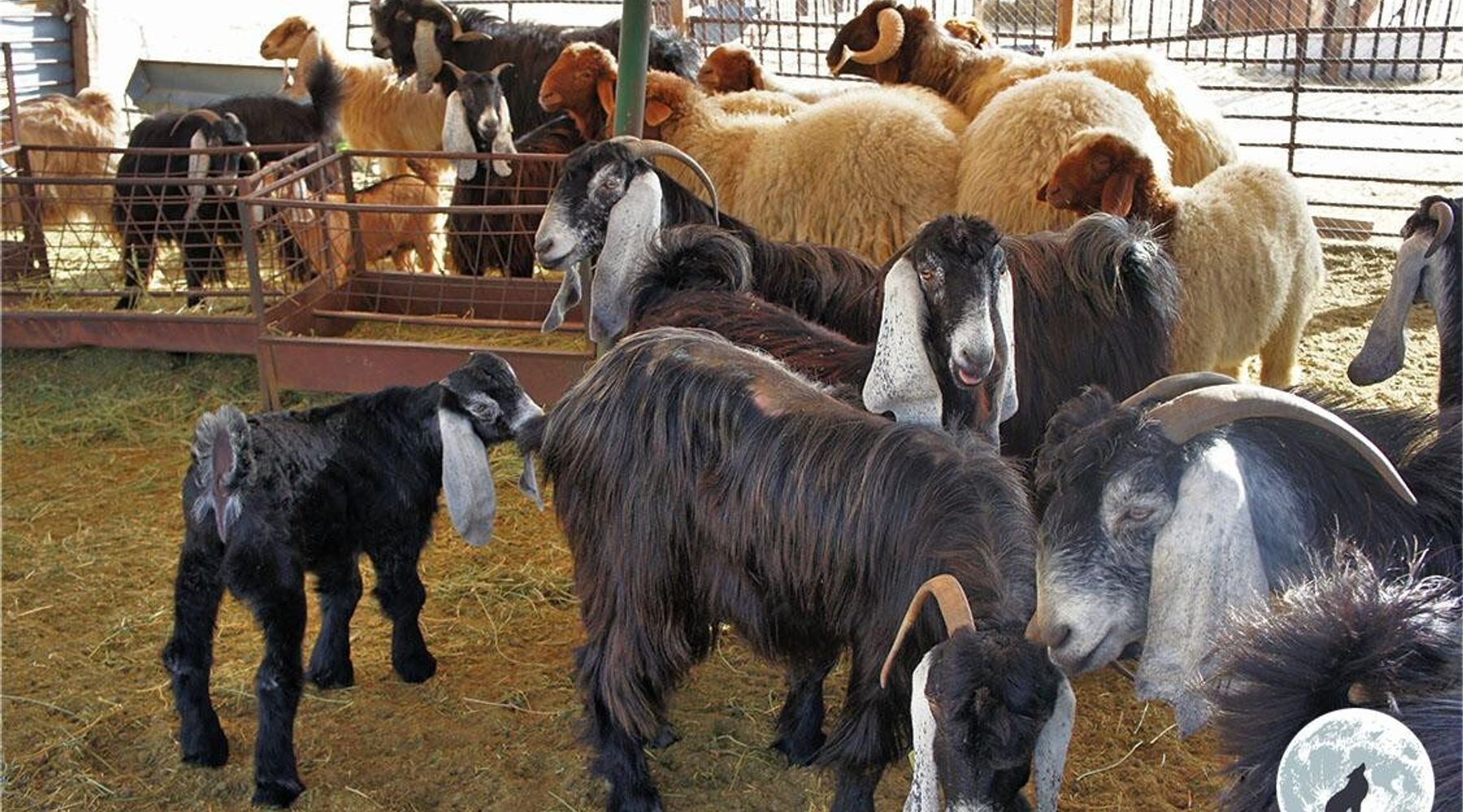 recommendation image