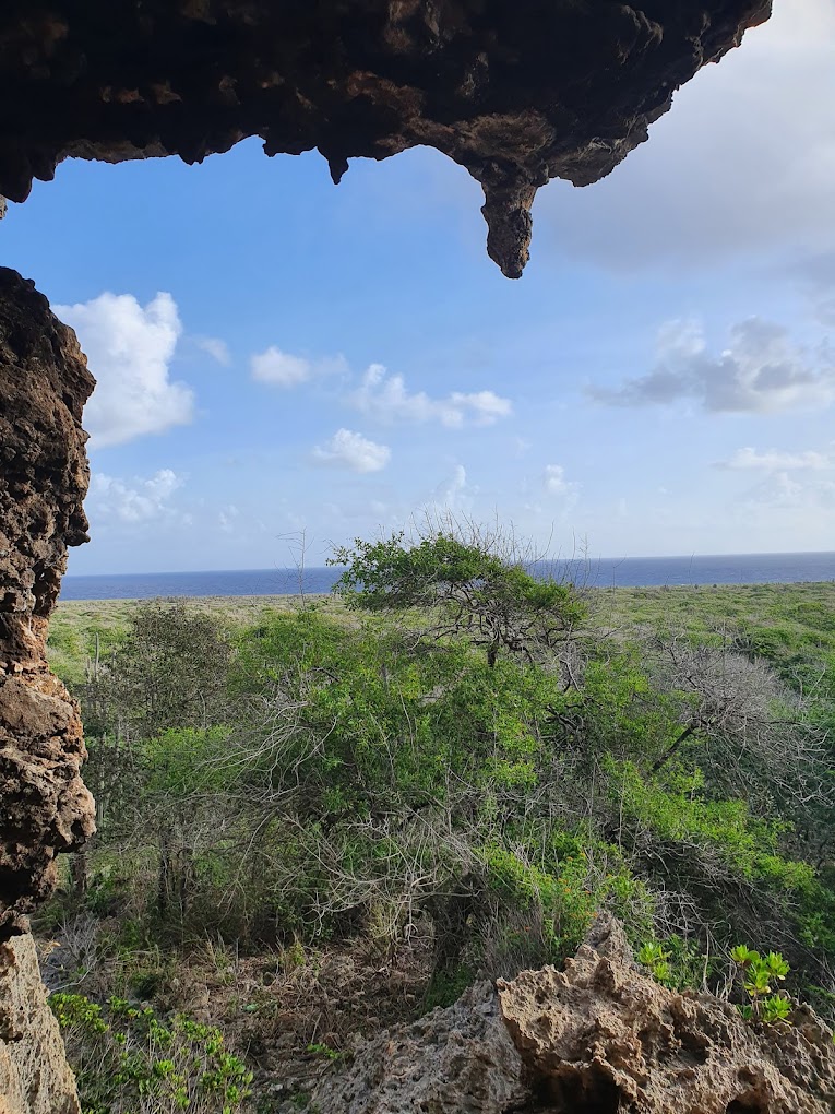 recommendation image