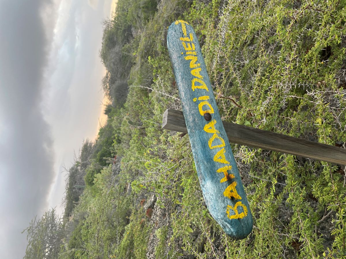 recommendation image