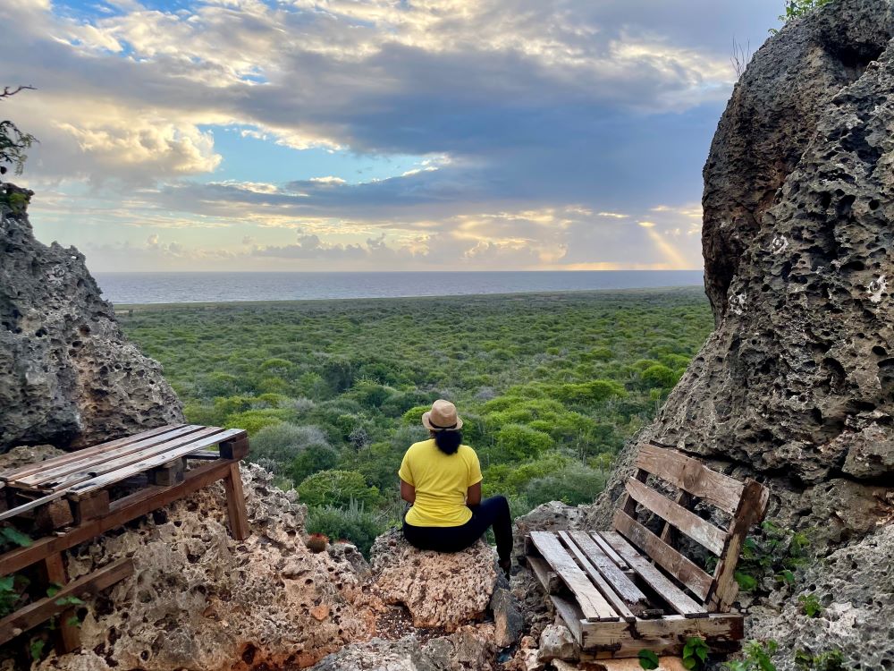 recommendation image