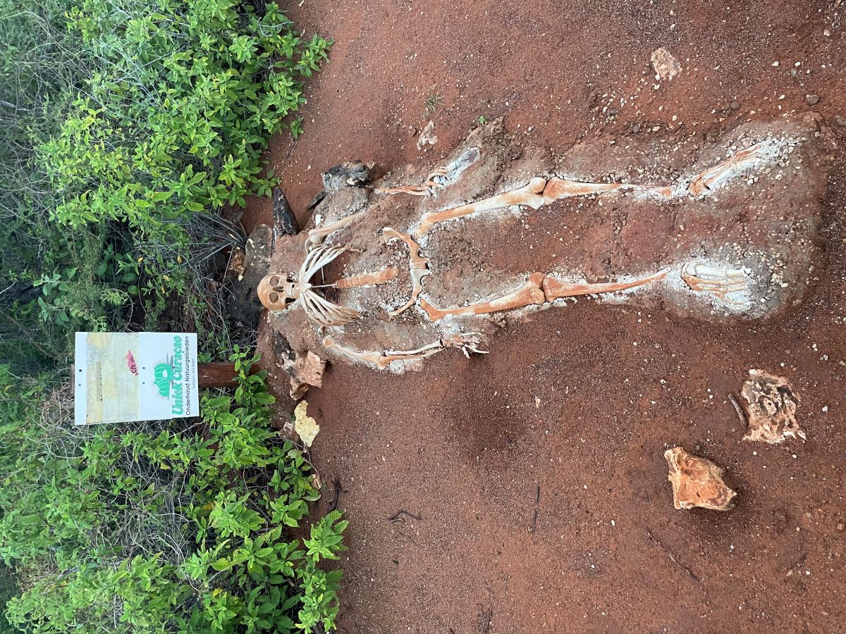 recommendation image