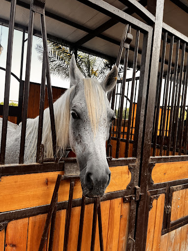 recommendation image