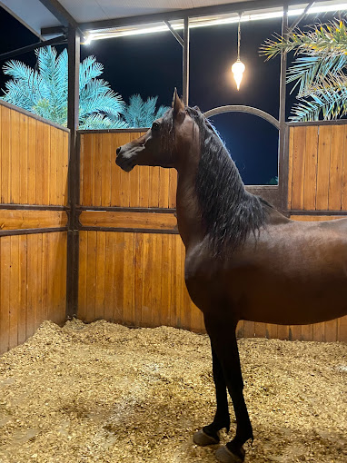 recommendation image