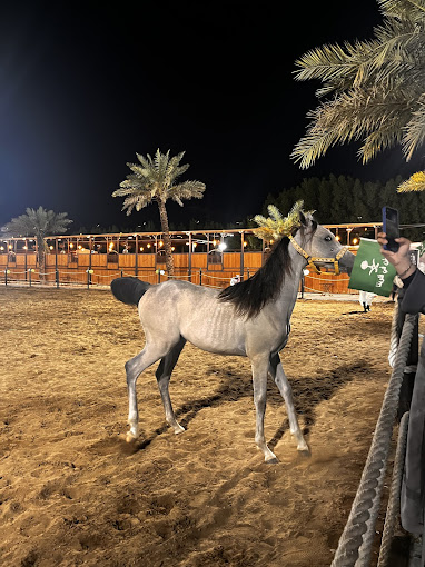 recommendation image