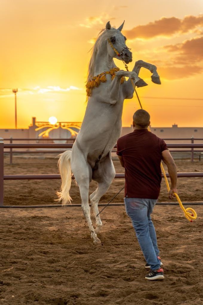 recommendation image