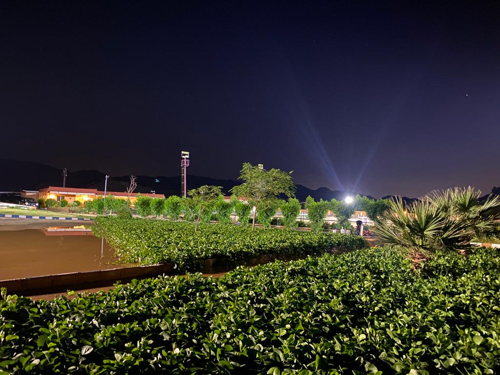 recommendation image