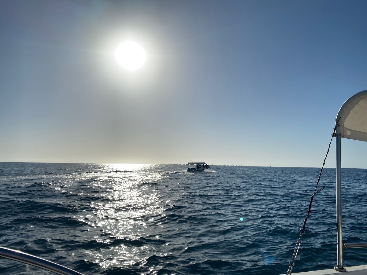 recommendation image