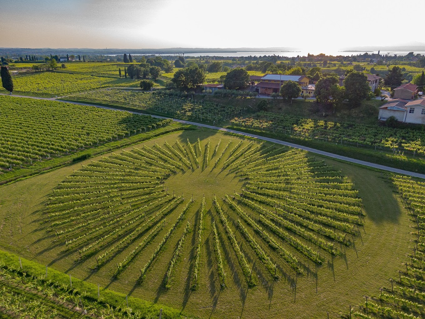 Bergamini Vini