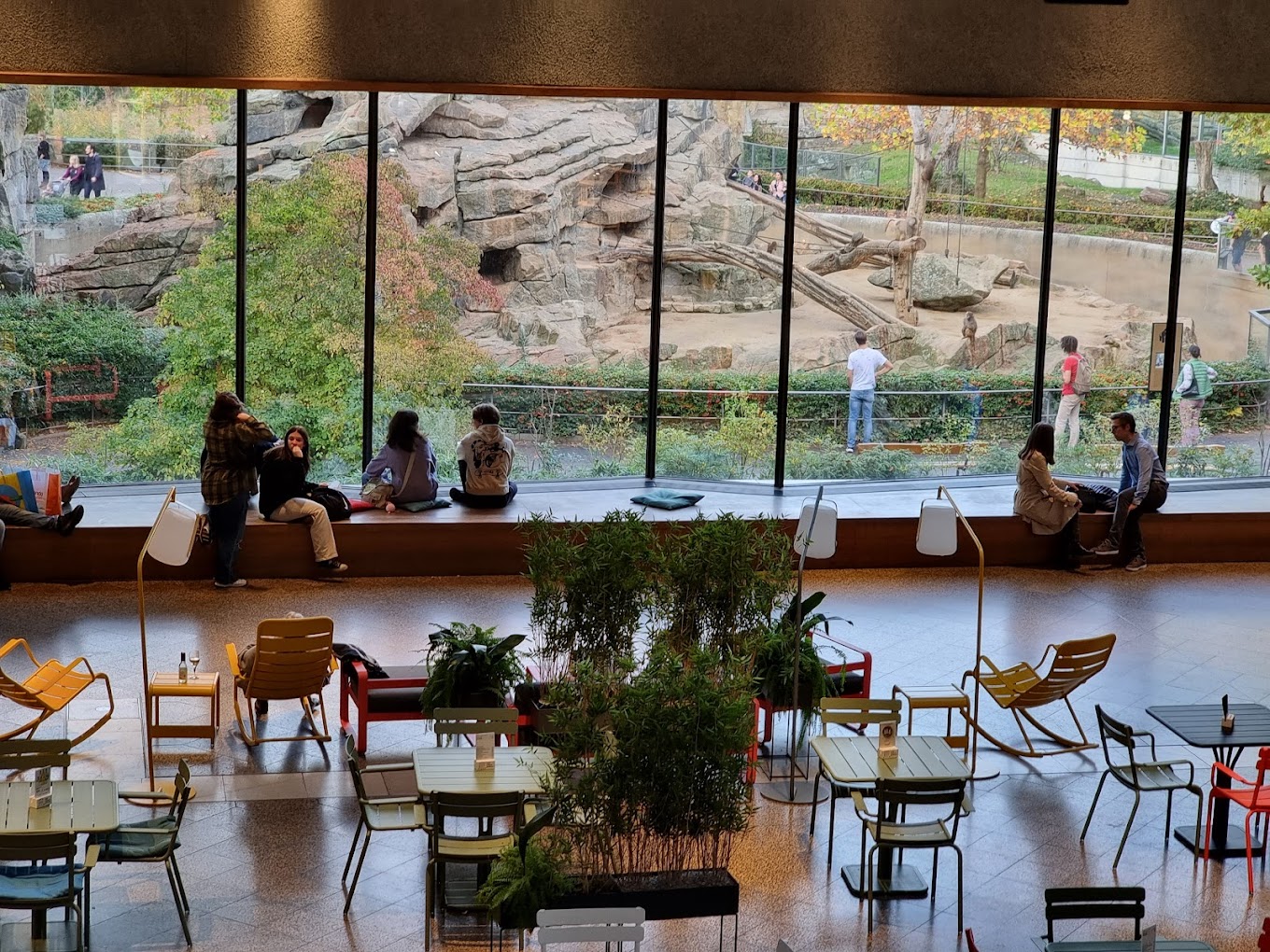 recommendation image