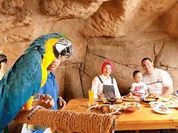 recommendation image