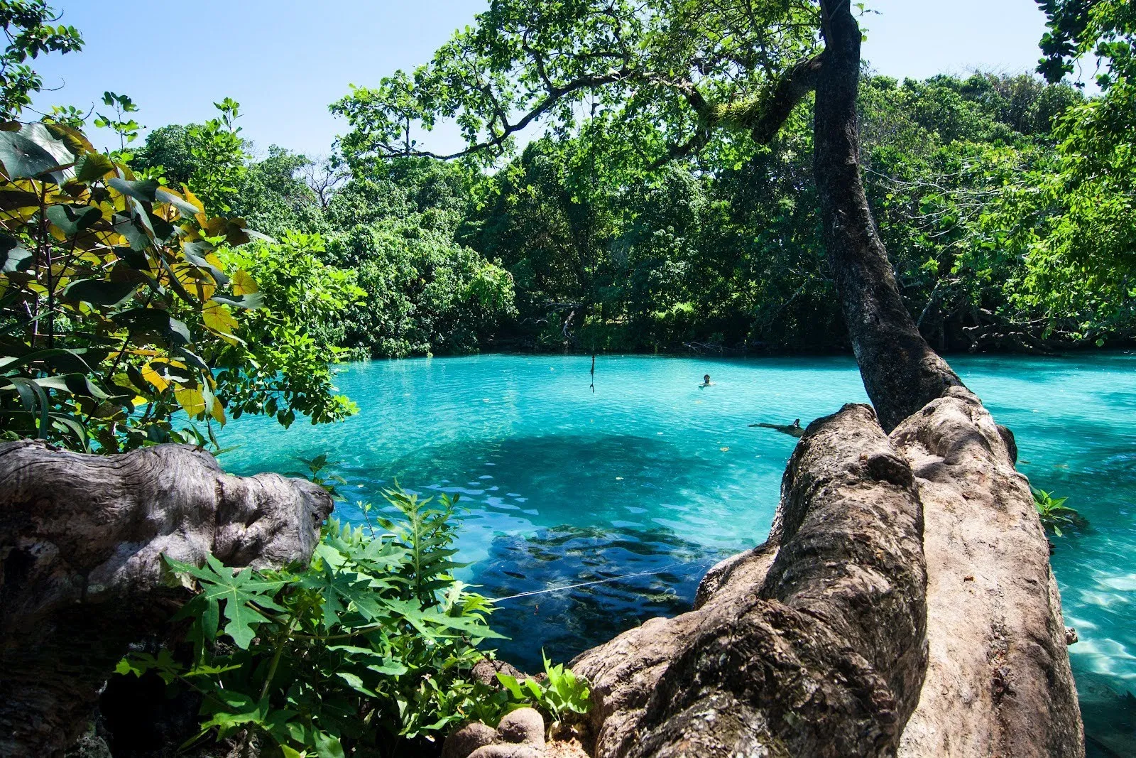 Blue Lagoon Jamaica