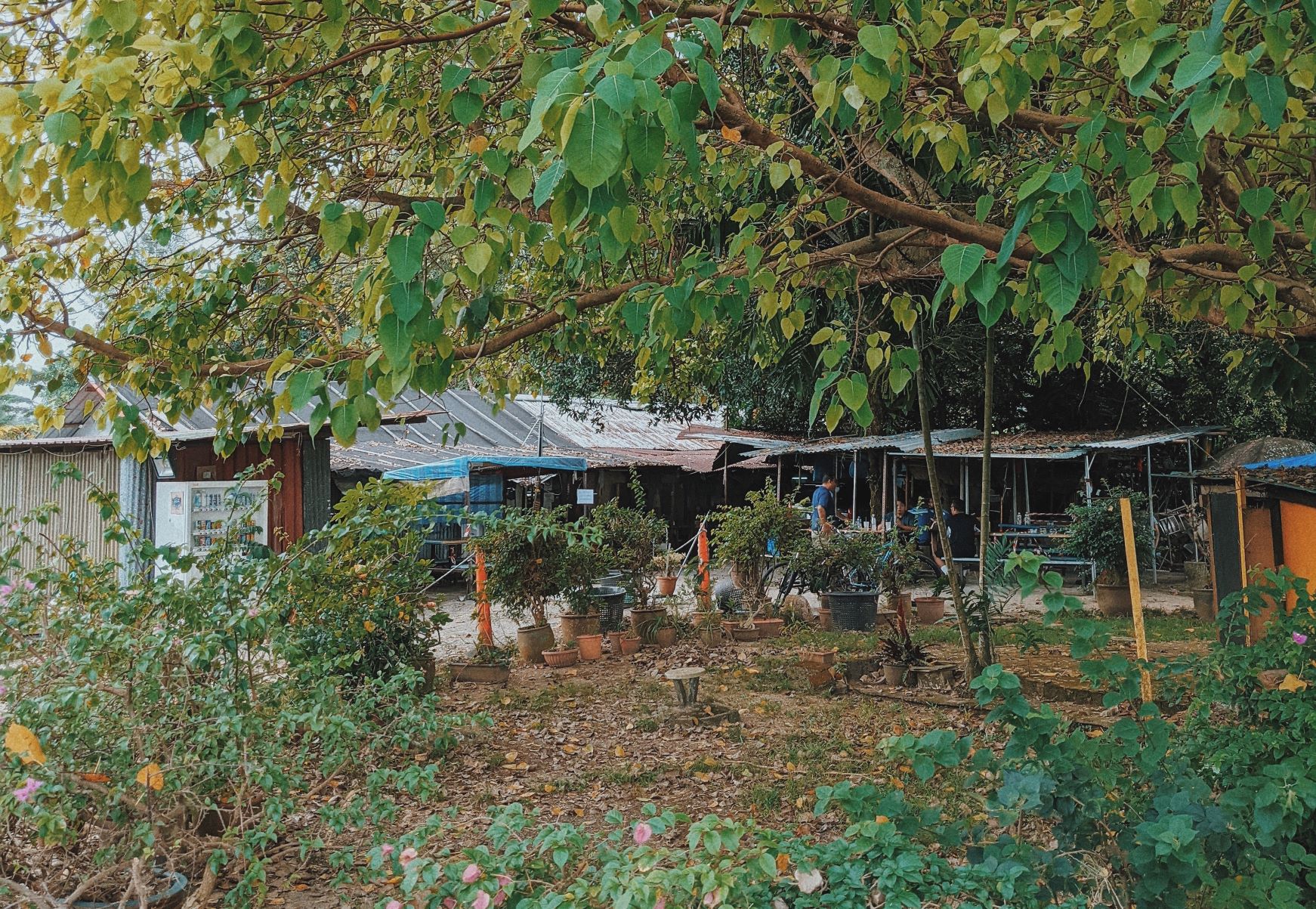 Boh Geh Uncle Canteen