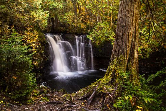 recommendation image