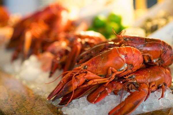 recommendation image