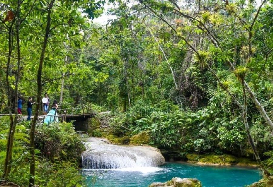 Breadnut Valley Estate