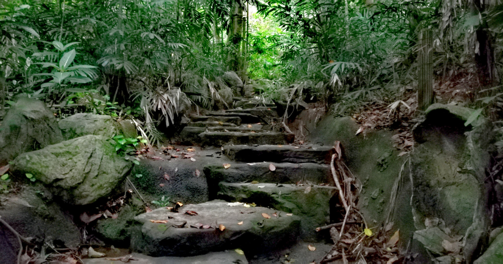 recommendation image